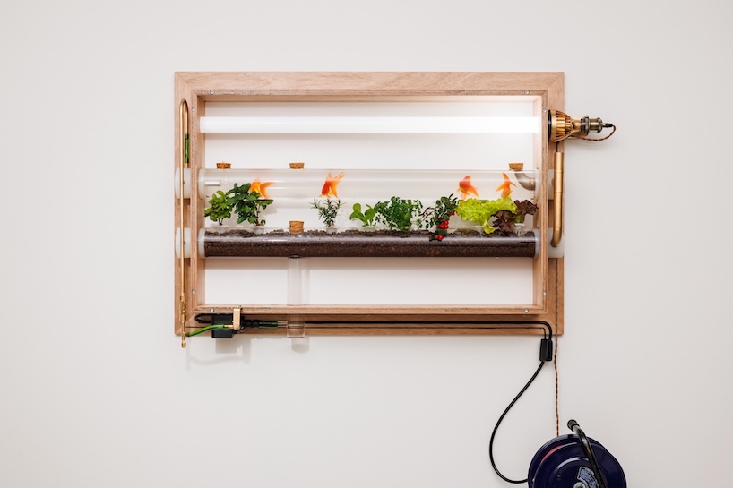 keisuke hatakenaka builds fish farming aquarium doubling as living landscape painting