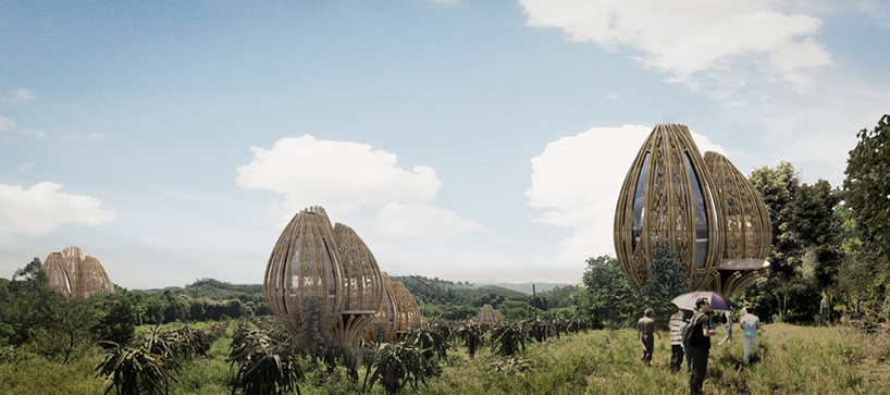 ded studio designs for bamboo structured wellness resort within chinese woodland 4