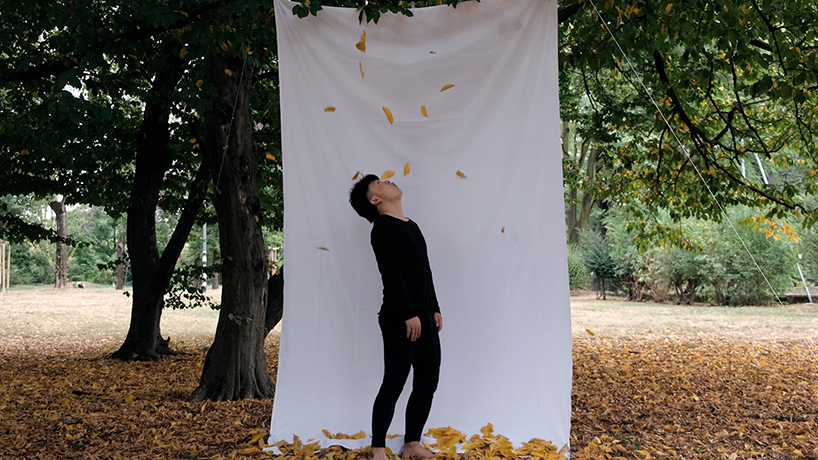 'stop a leaf from falling', an in vain try to prevent them from dropping to the ground 