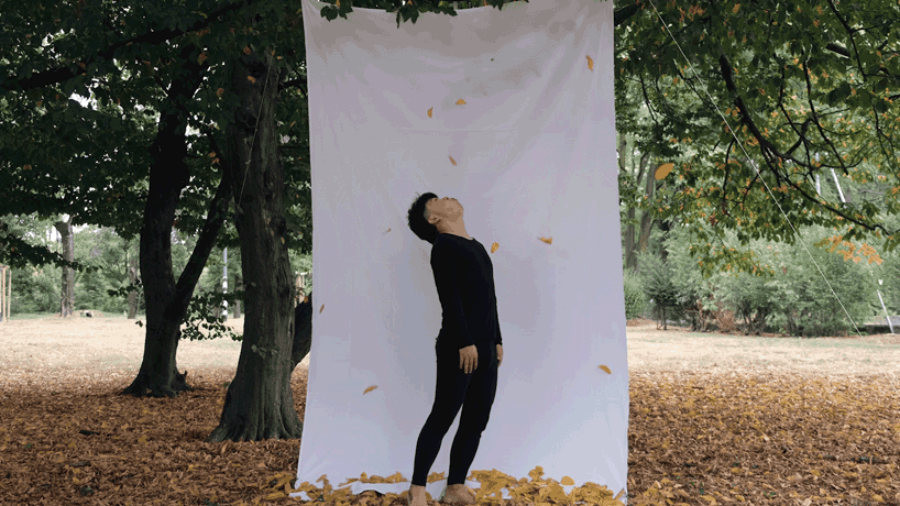 'stop a leaf from falling', an in vain try to prevent them from dropping to the ground