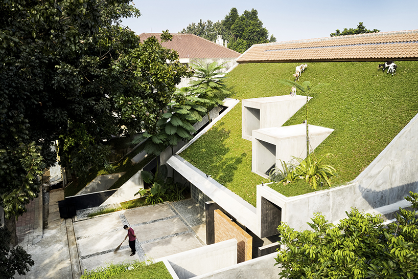radar redefines tropicality in daily contemporary approach 1
