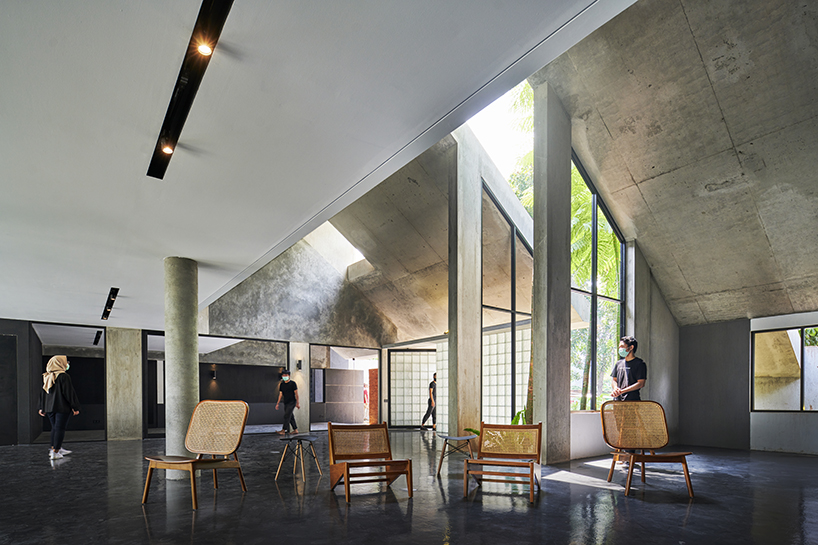 radar redefines tropicality in daily contemporary approach 2