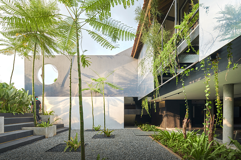 radar redefines tropicality in daily contemporary approach 3