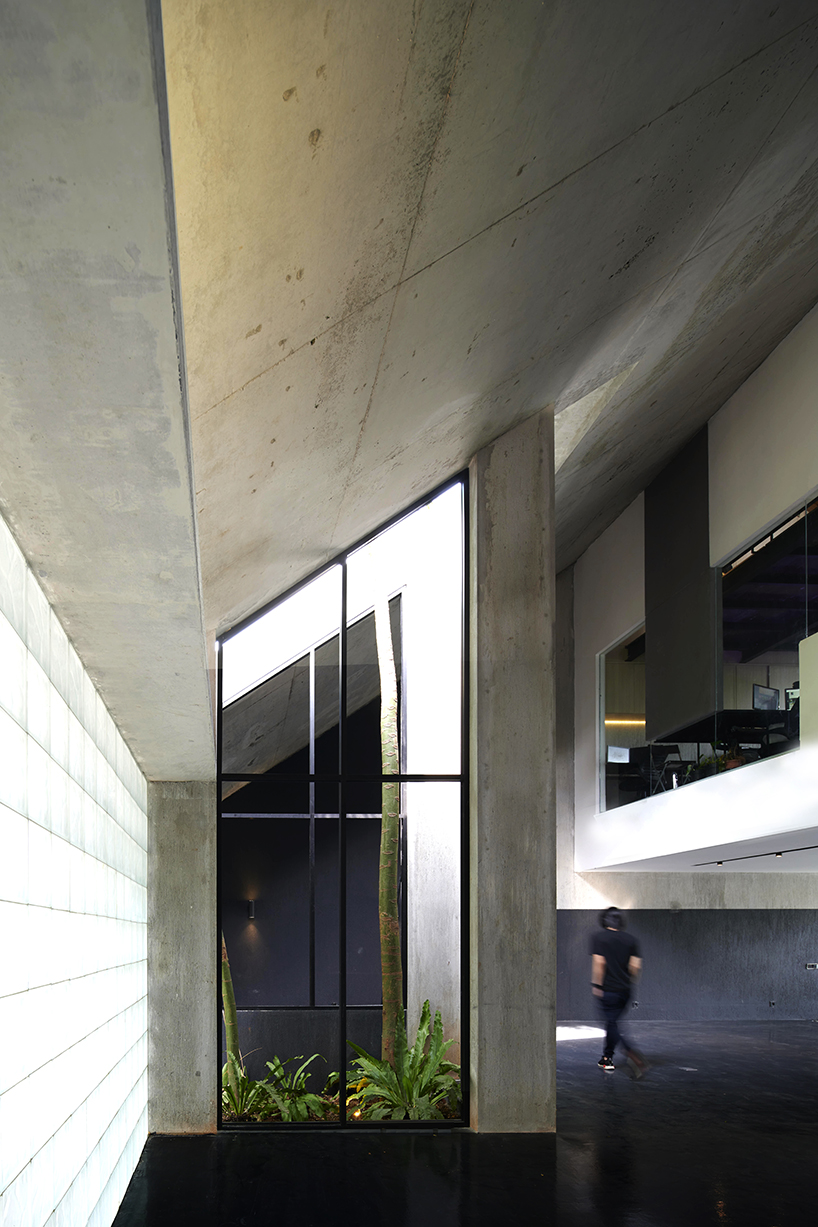 radar redefines tropicality in daily contemporary approach 4