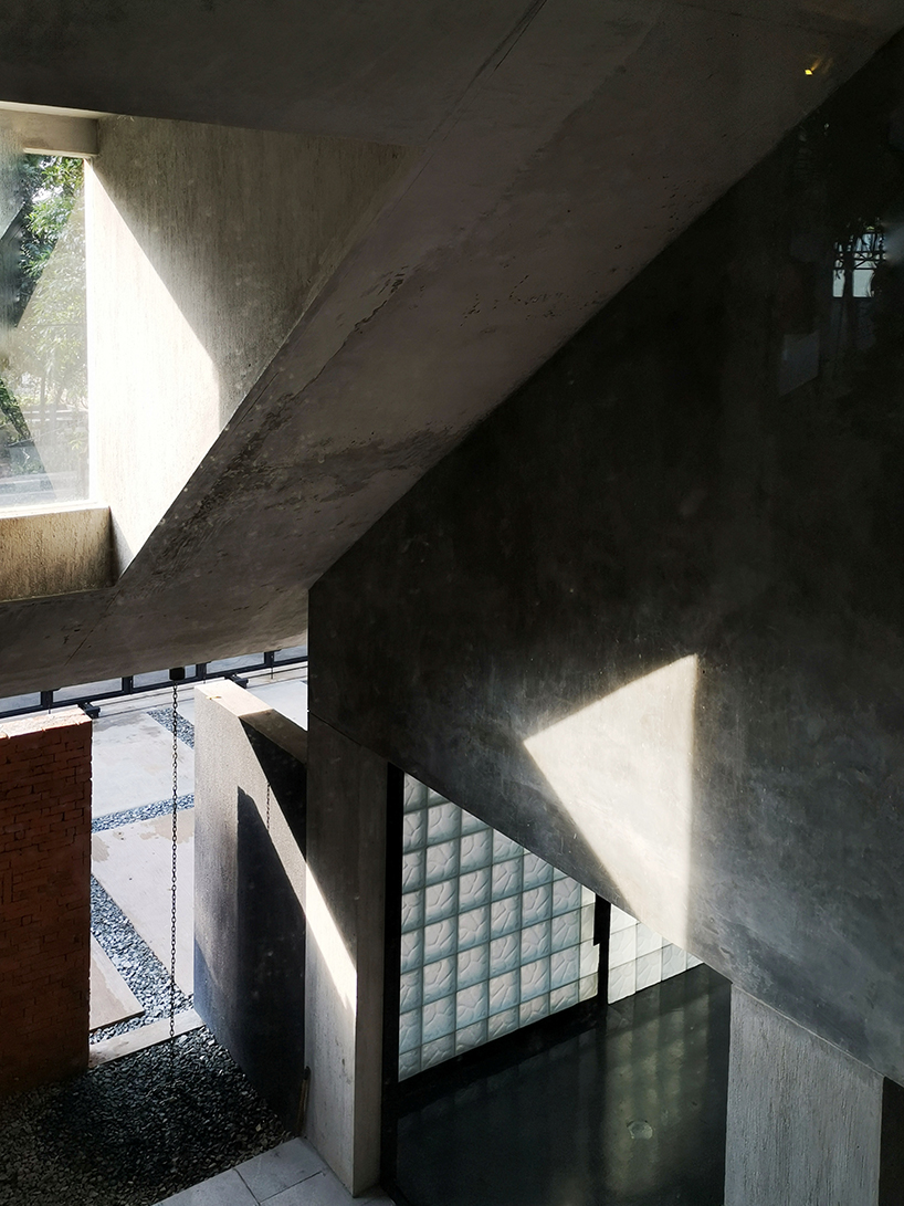 radar redefines tropicality in daily contemporary approach 5