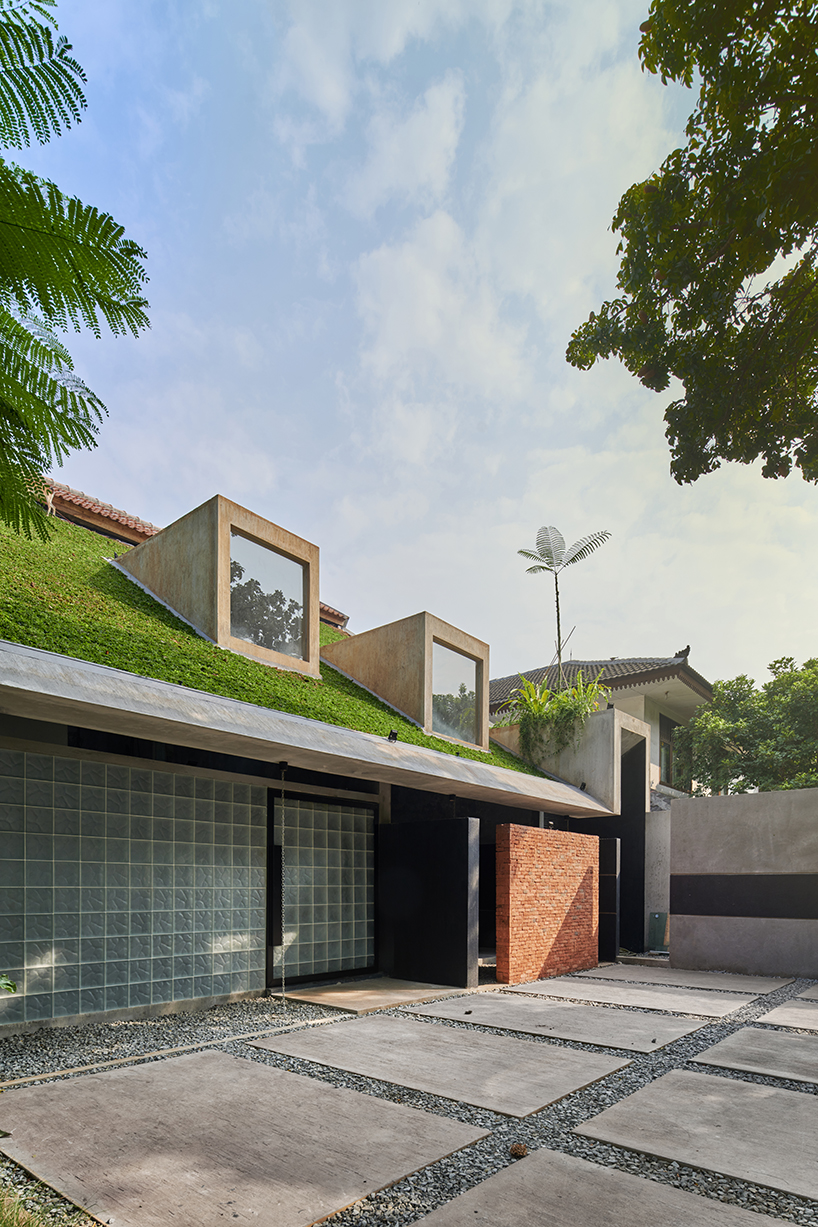 radar redefines tropicality in daily contemporary approach 8