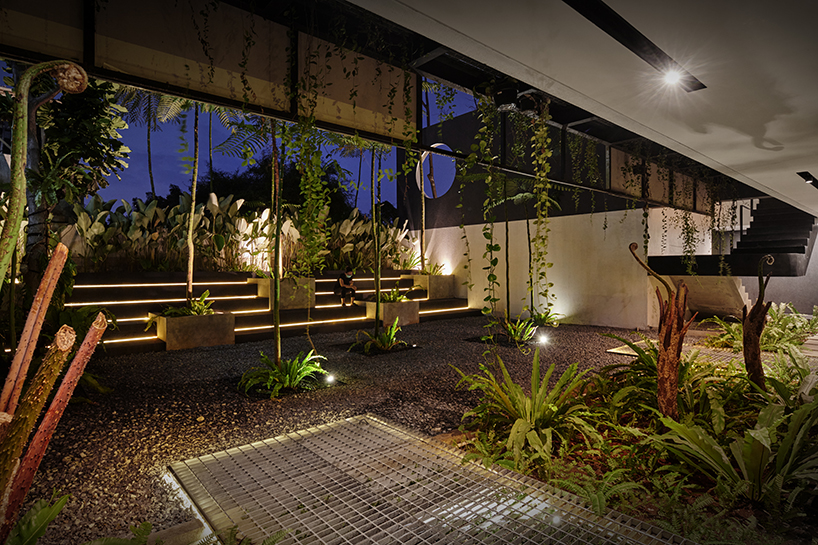 radar redefines tropicality in daily contemporary approach 9