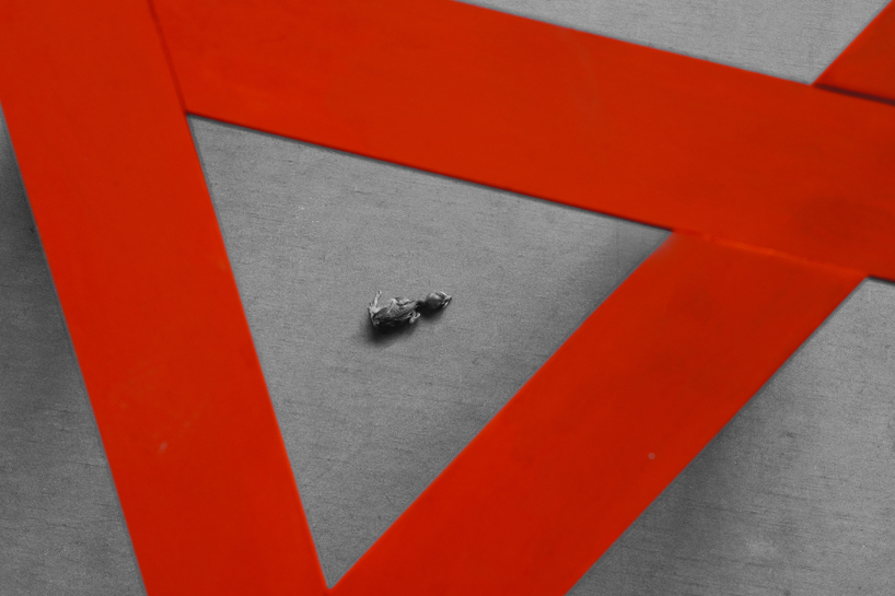 takuto ohta reinterprets traditional torii gates through triadic wooden structure