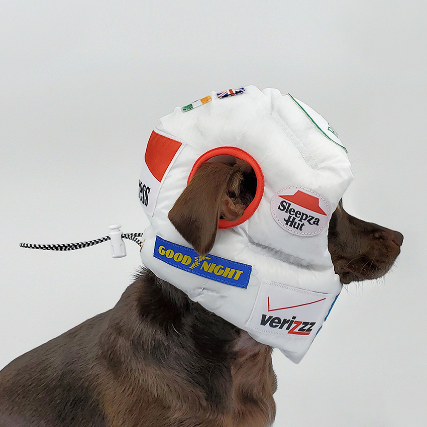 Dog helmets deals for blind dogs