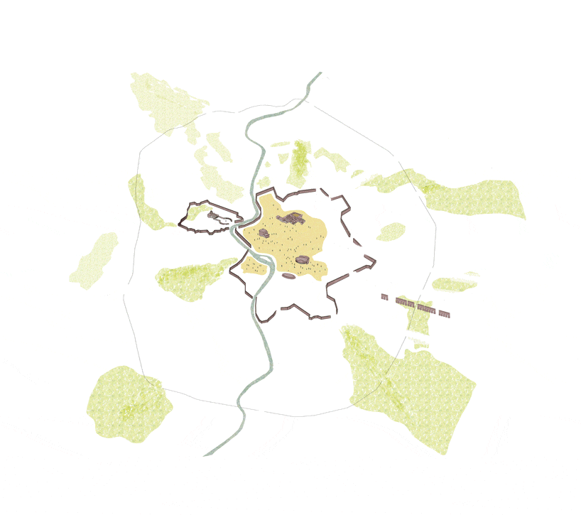 rome reforested the tree as a cure for the urban streetscape 7