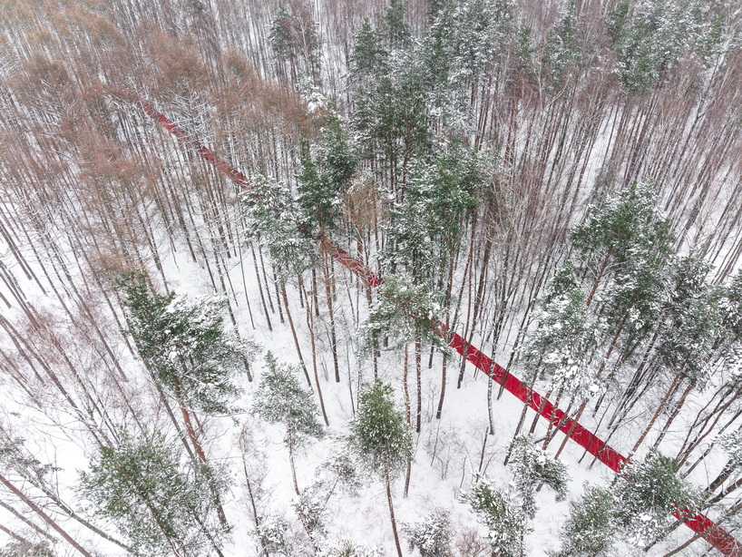 a 250 meters long red carpet made directly in the landscape stretches across a snowy forest 6