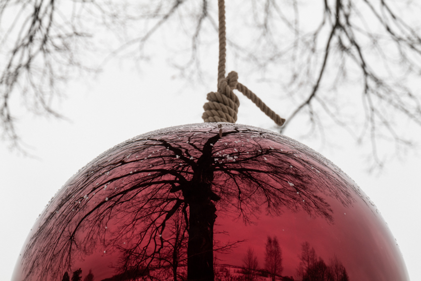 reflective red sphere suspends from tree in gregory orekhov&rsquo;s land art installation