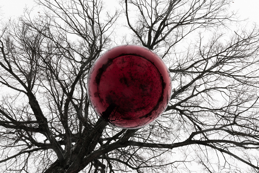 reflective red sphere suspends from tree in gregory orekhov&rsquo;s land art installation