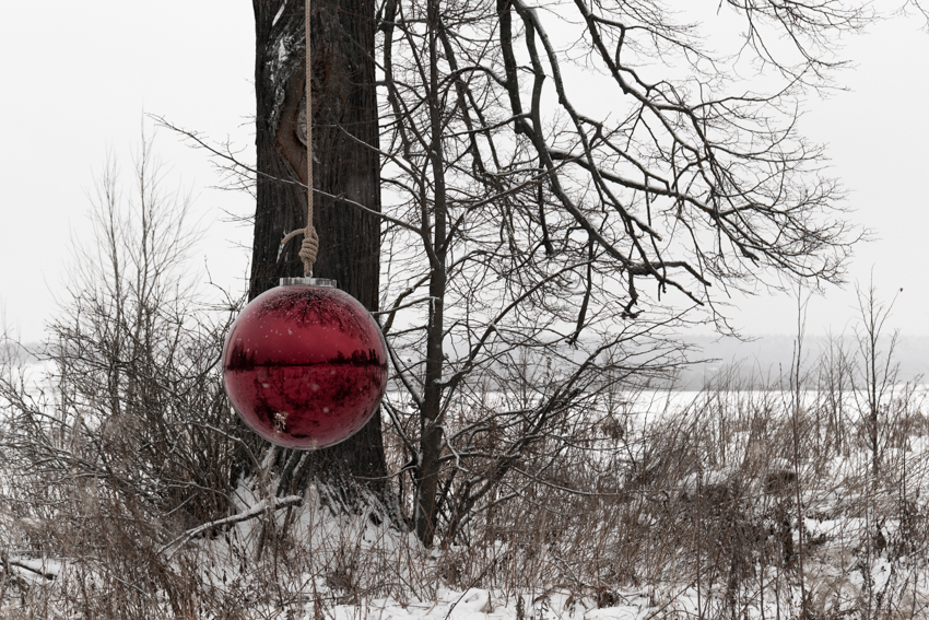 reflective red sphere suspends from tree in gregory orekhov&rsquo;s land art installation