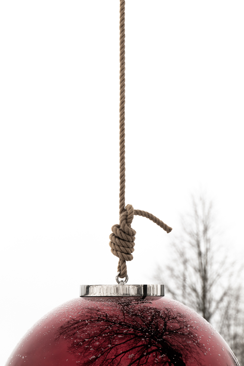 reflective red sphere suspends from tree in gregory orekhov&rsquo;s land art installation