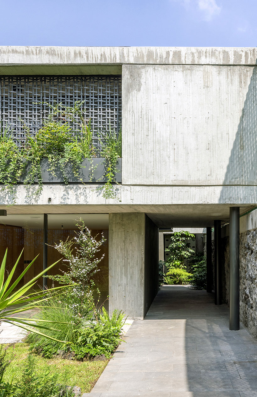 ViGA arquitectos remodels a 1970s building for 'agua house' in mexico city designboom