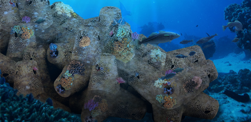 biopod creating marine life habitats in concrete underwater infrastructures 2
