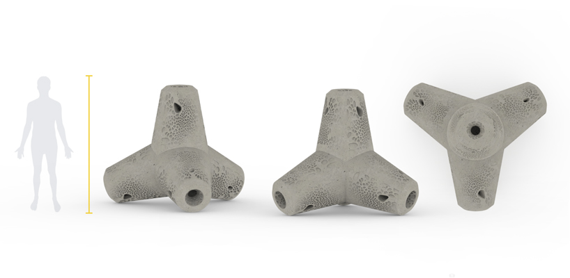 biopod creating marine life habitats in concrete underwater infrastructures 6