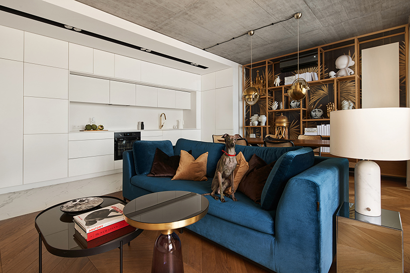 blackhaus karol cieplinski architekt completes the 'geometry apartment' designboom