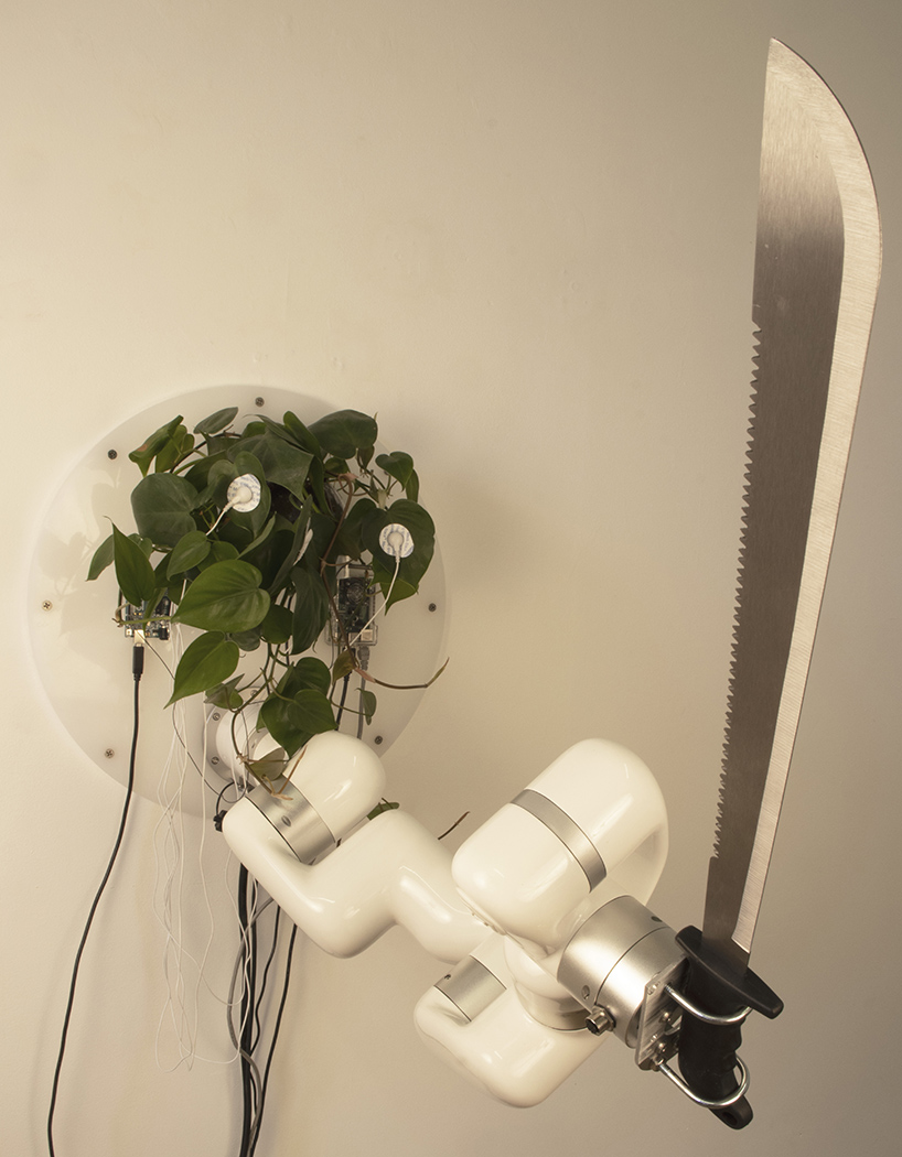 living plant controls a machete through an industrial robot arm