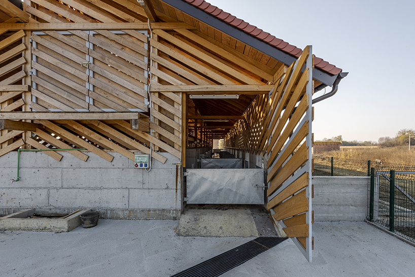 SKROZ architecture's eco pig farm in Croatia redefines common livestock spaces