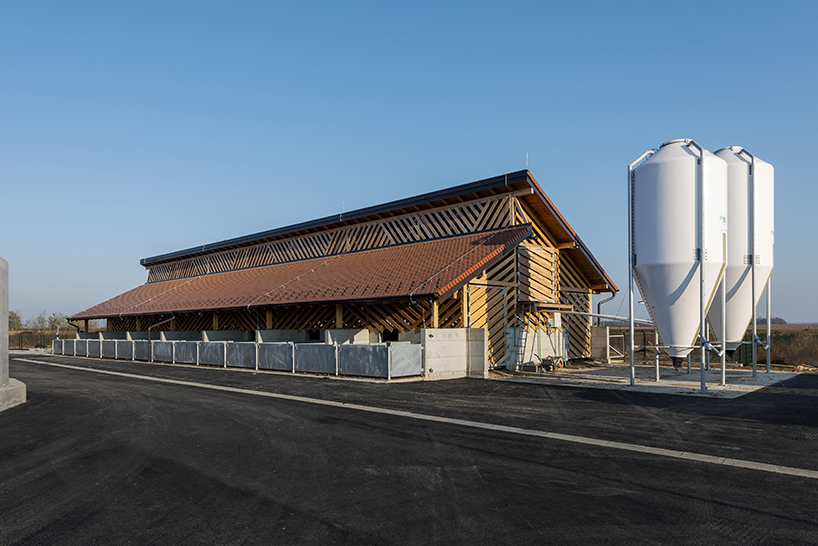 SKROZ architecture's eco pig farm in Croatia redefines common livestock spaces