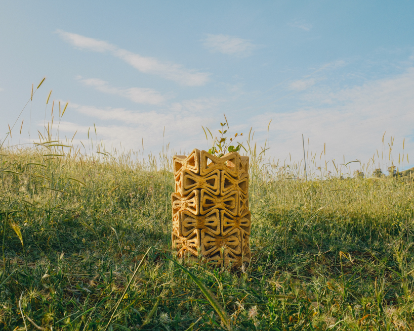 Los ladrillos entrelazados impresos en 3D crean un microclima terroso para los árboles jóvenes