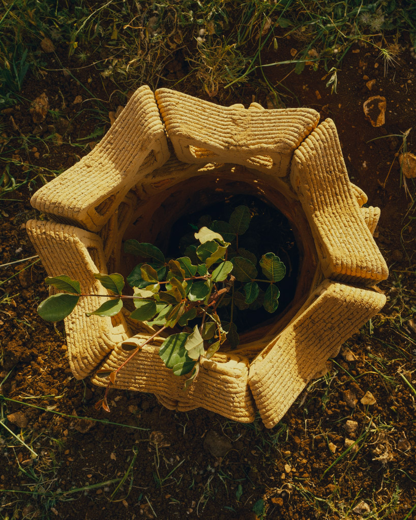 Los ladrillos entrelazados impresos en 3D crean un microclima terroso para los árboles jóvenes