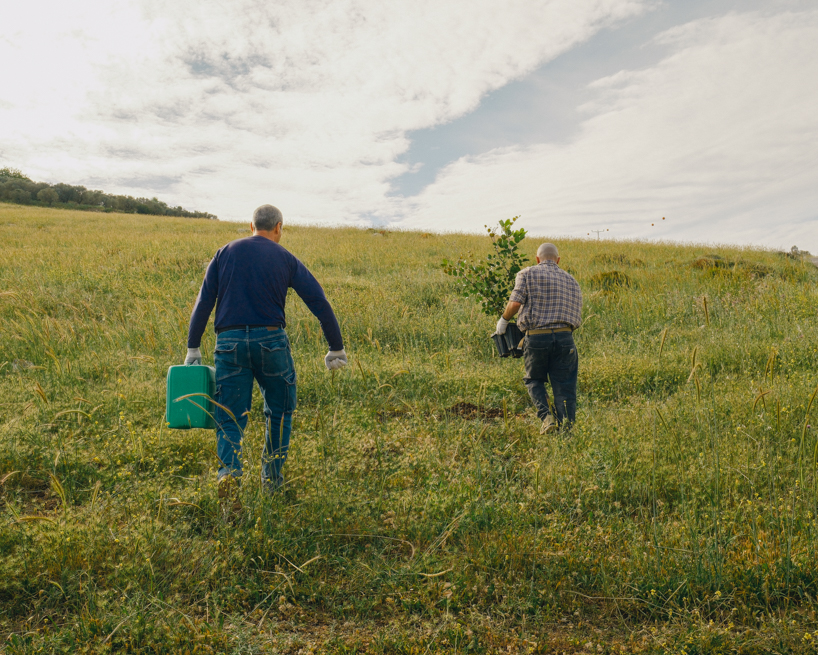 Los ladrillos entrelazados impresos en 3D crean un microclima terroso para los árboles jóvenes
