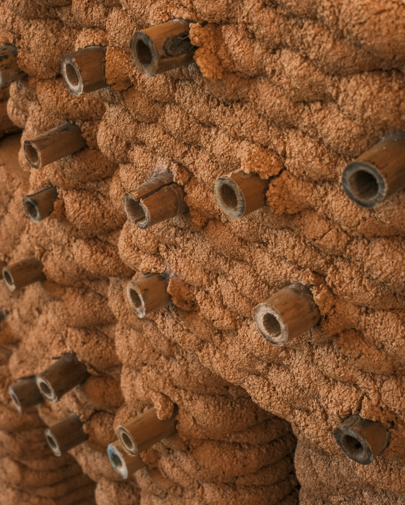 robotically 3d printed earth bricks wrap a multispecies habitat around an olive tree 11