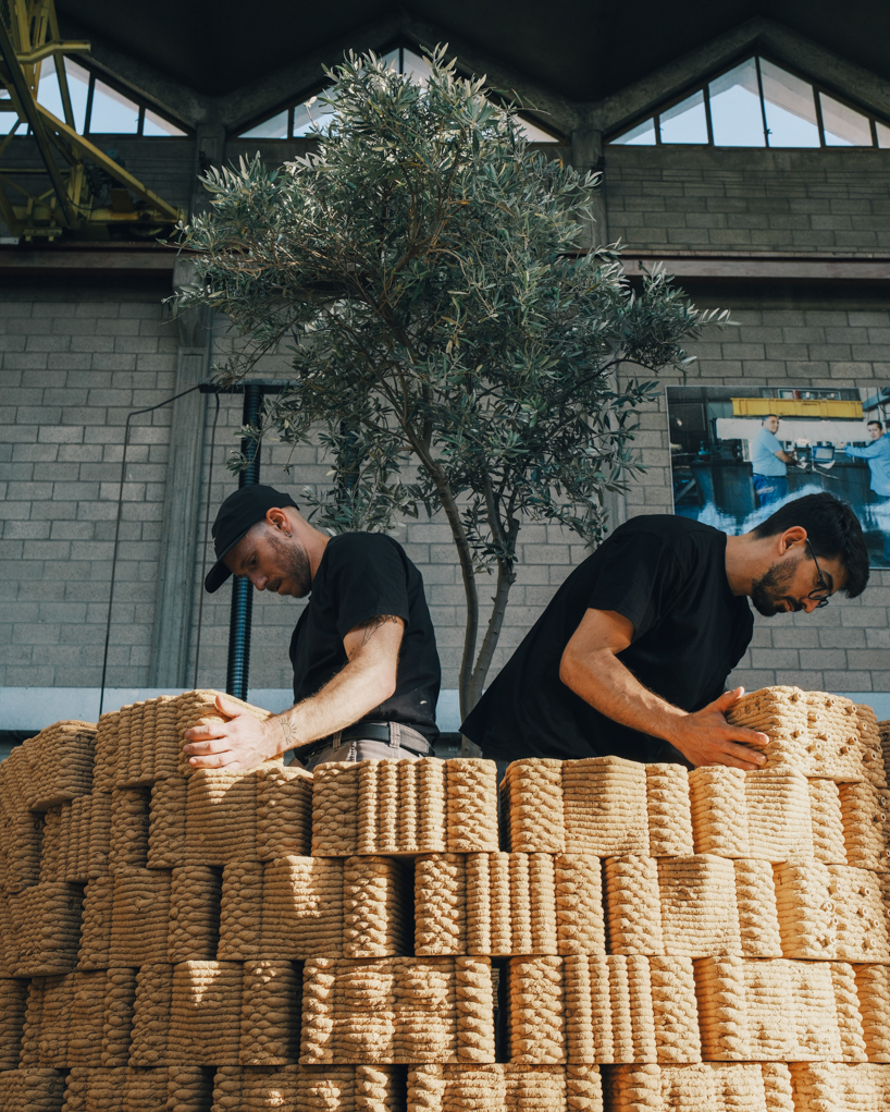 robotically 3d printed earth bricks wrap a multispecies habitat around an olive tree 8