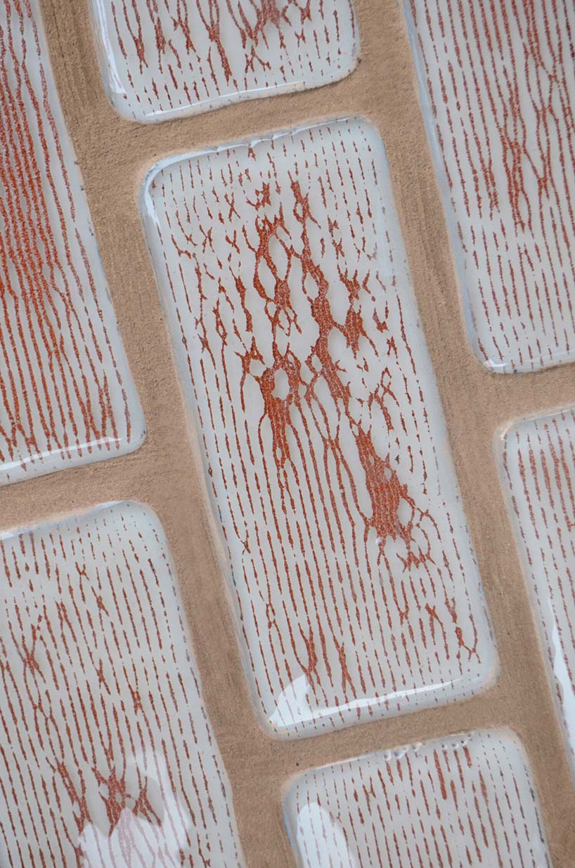 bioforcetech reveals OurCarbon, a pigment made from sewage sludge