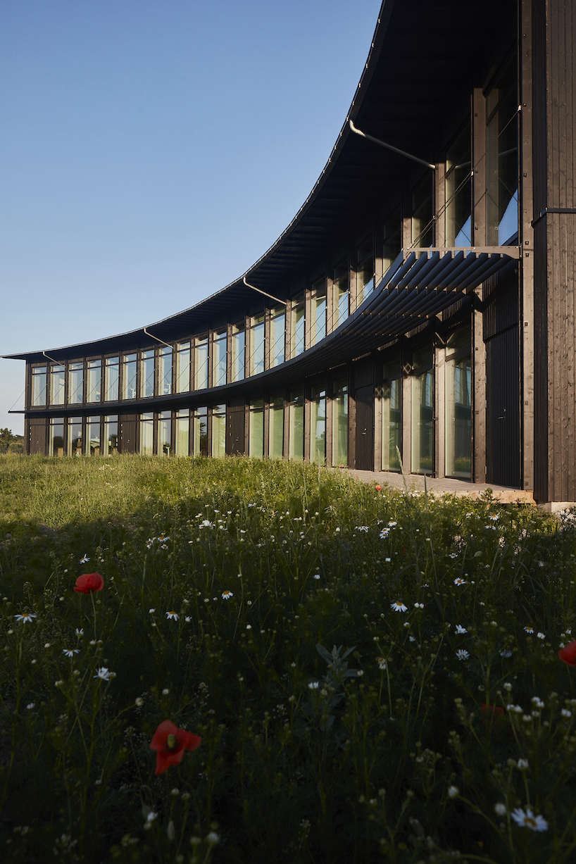 curved layout forms intimate working environment capturing the danish landscape