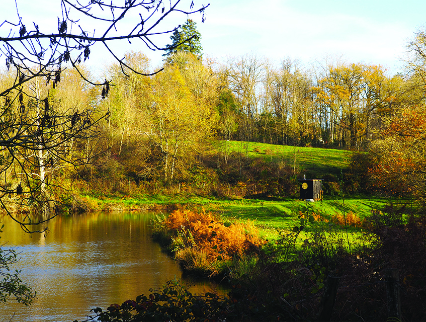 this charred timber sauna by atelier AJO emerges on the shore of french lake