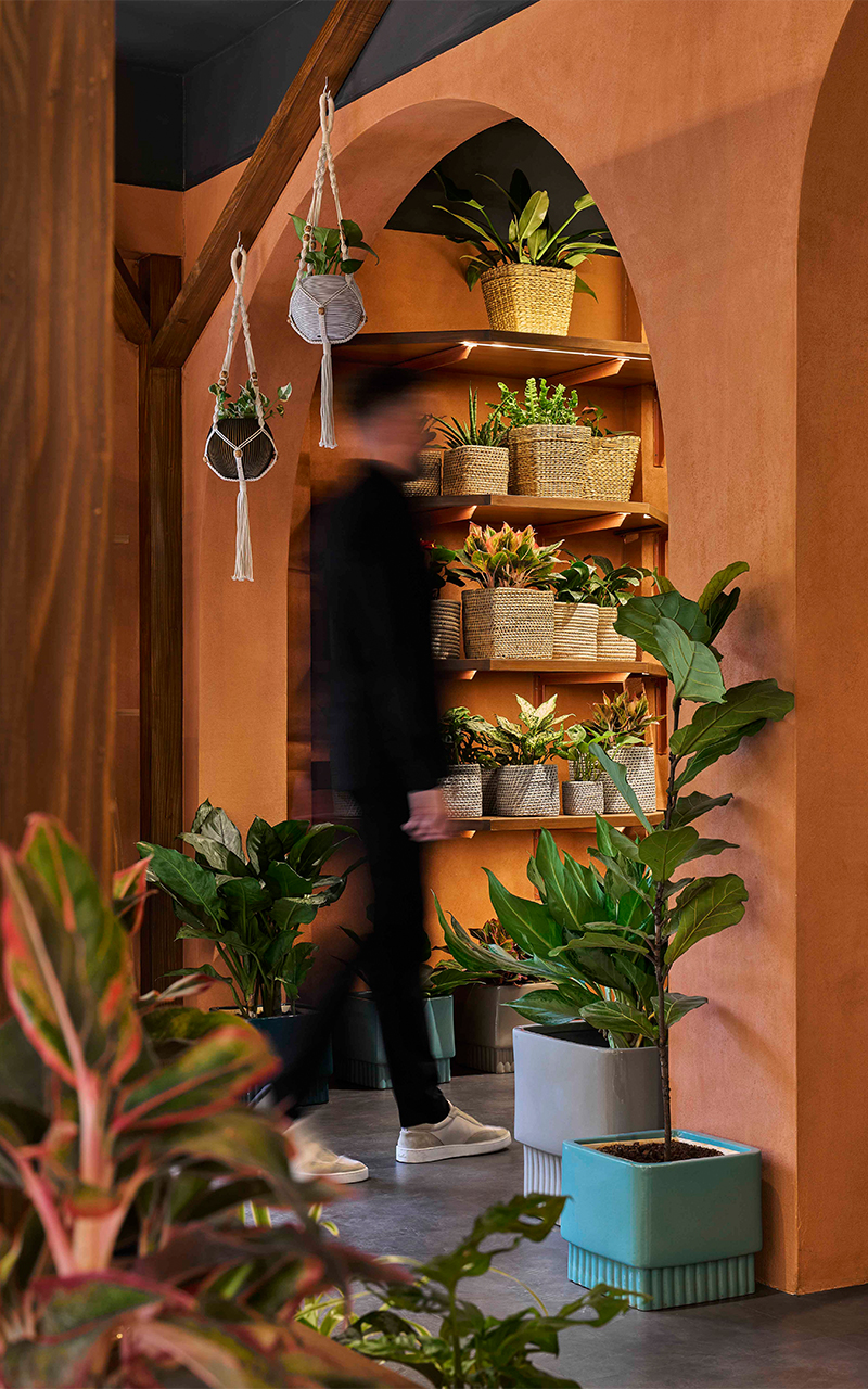 rooted in nature ugaoos flagship store by concept by sowe reimagines retail as sanctuary 10