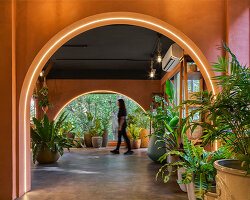 concept by sowe roots ugaoo's flagship plant store in biophilic design in pune, india