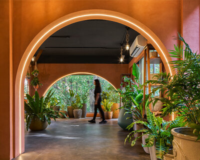 concept by sowe roots ugaoo's flagship plant store in biophilic design in pune, india