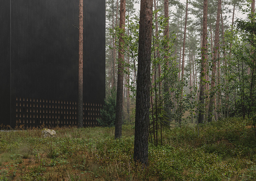 tomek michalski redefines the concept of a cemetery with ‘forest memorial’ 