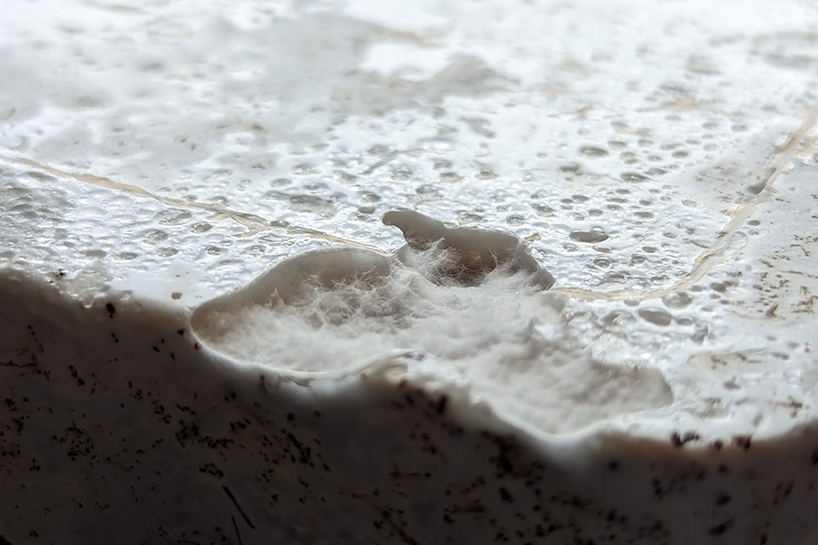 myco-type mycelium blocks