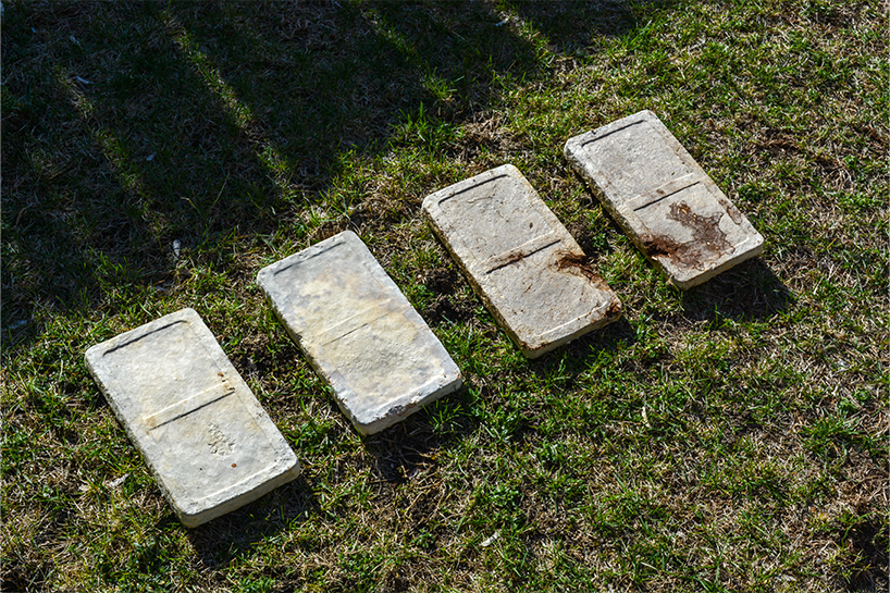 myco-type mycelium blocks