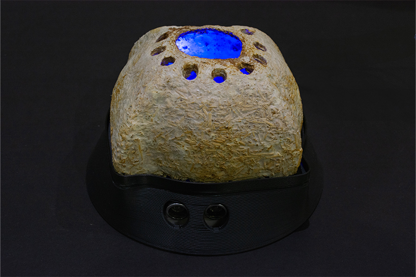 a night lamp with a mycelium shade integrated with a 3D printed base and motion detection system