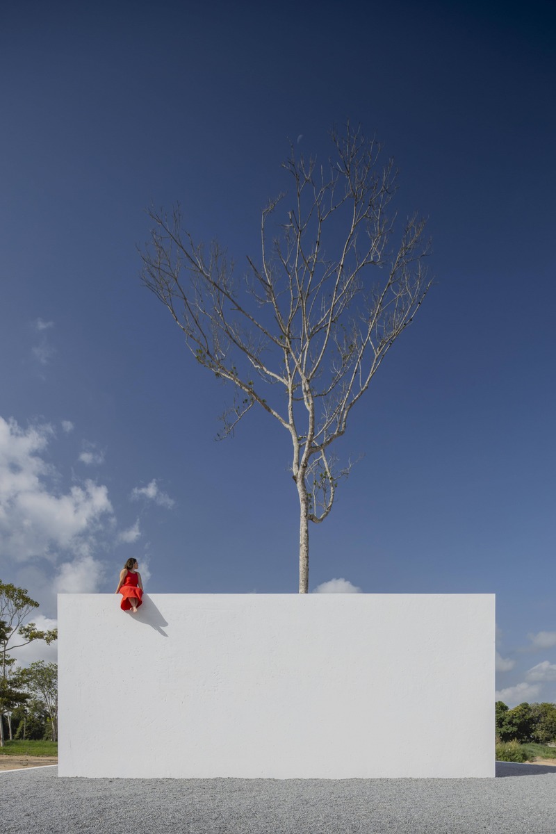 white perforated cubic facade wraps hybrid home and studio around a tree in brazil - 3