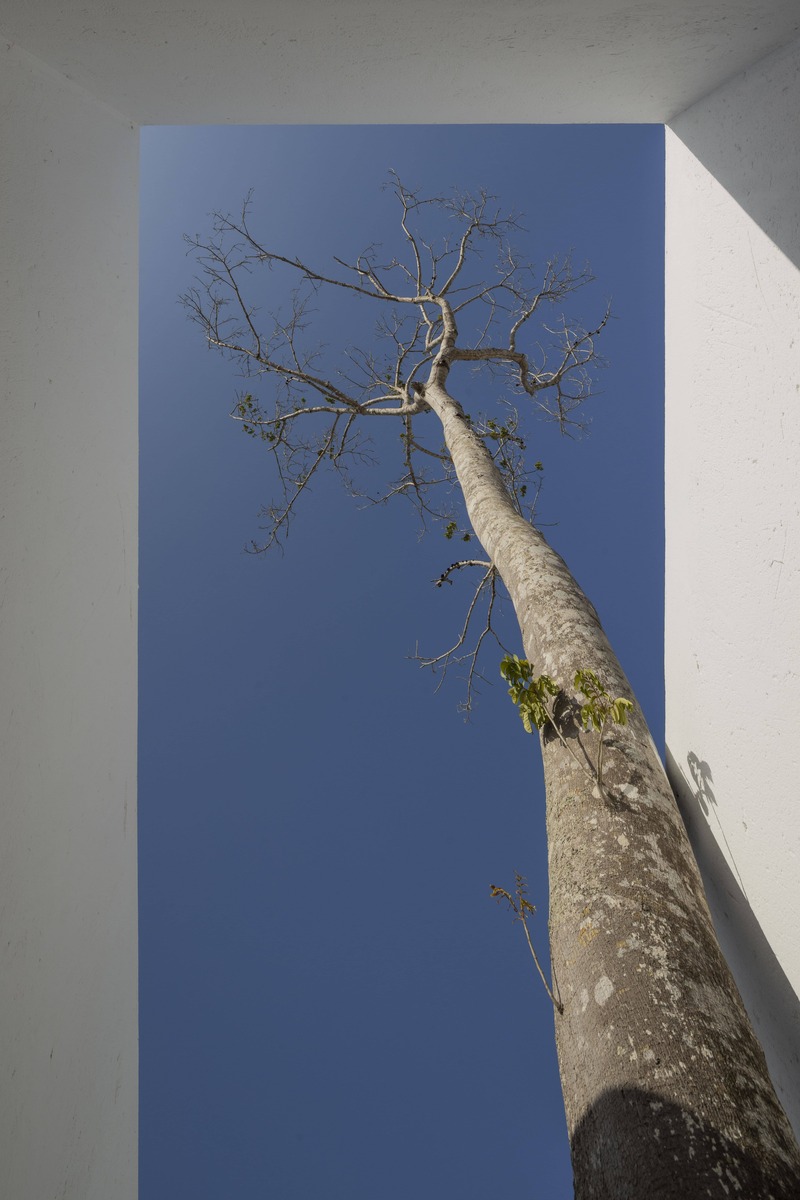 white perforated cubic facade wraps hybrid home and studio around a tree in brazil - 4