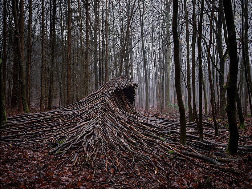 Jörg Gläscher Builds 9 Massive Deadwood Waves In A Forest Near Hamburg
