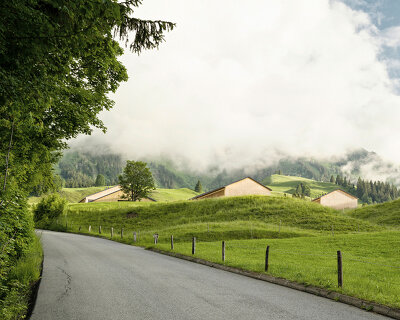 set of cozy wooden lodges fits naturally into austrian green landscape
