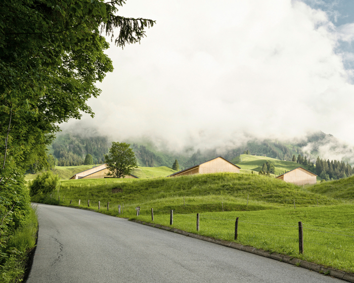 set of cozy wooden lodges fits naturally into austrian green landscape