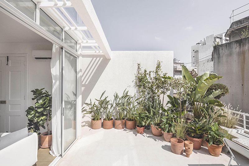 beirooted penthouse 1