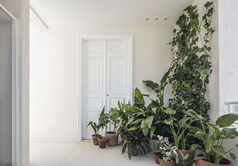 beirooted penthouse 3