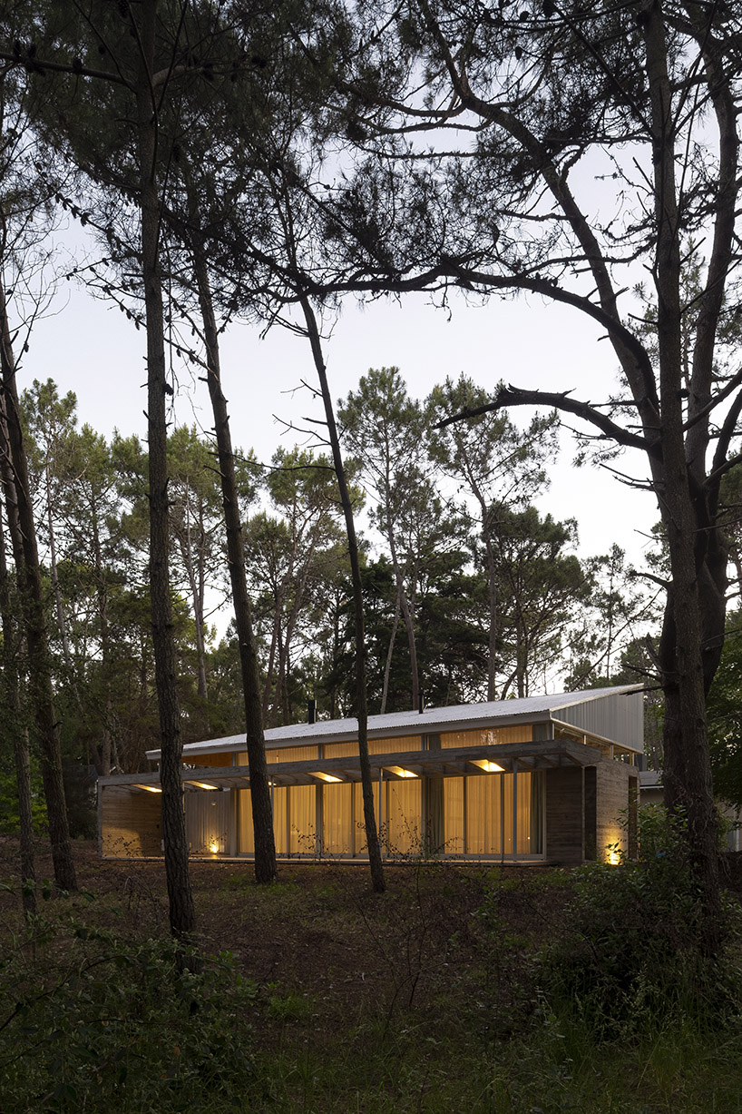 pinguino house 11