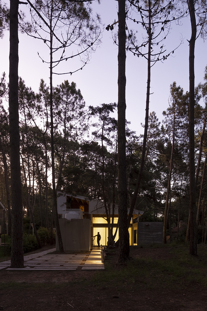 pinguino house 12